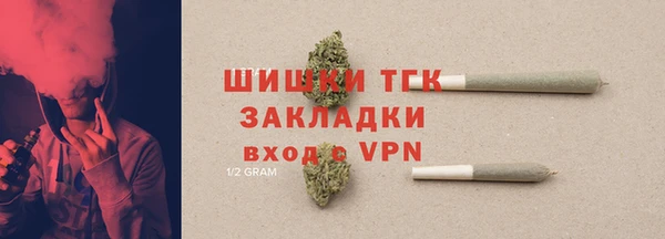 тгк Новодвинск