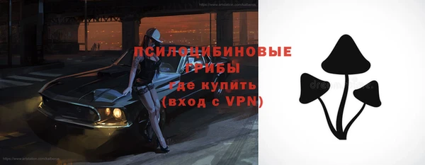 МДПВ Армянск