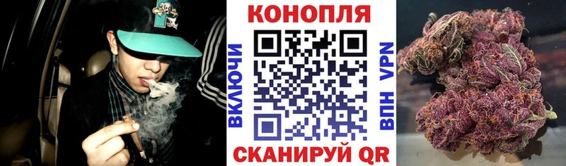 Канабис сатива  MEGA ONION  Новоалтайск 